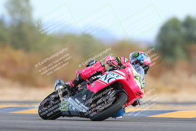 media/Feb-08-2025-CVMA (Sat) [[fcc6d2831a]]/Race 11-Amateur Supersport Open/